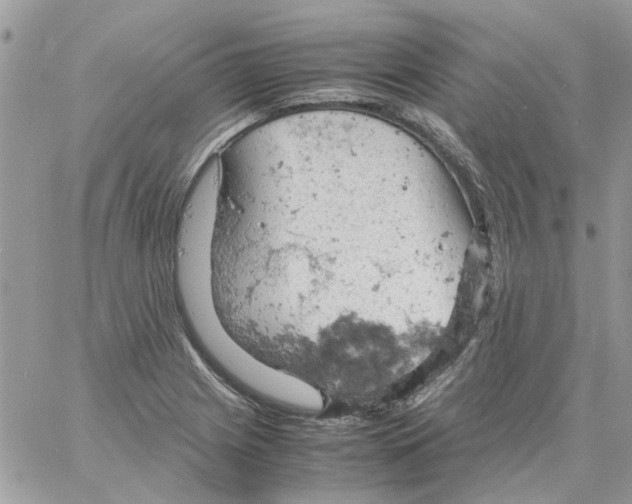 X0000061741225200512302203