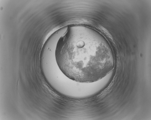 X0000061741226200512302203