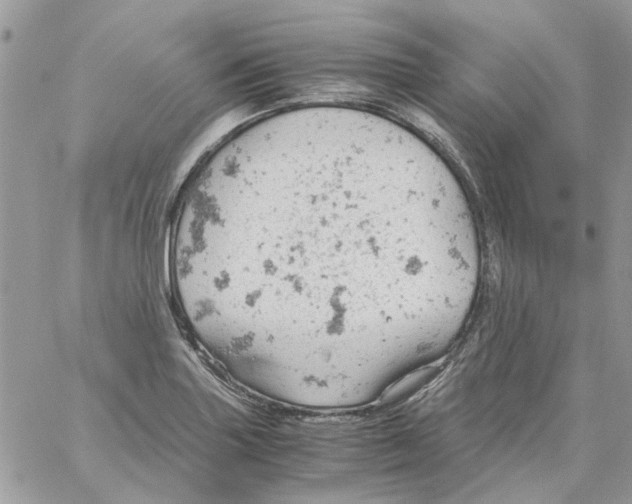 X0000061741227200512302203