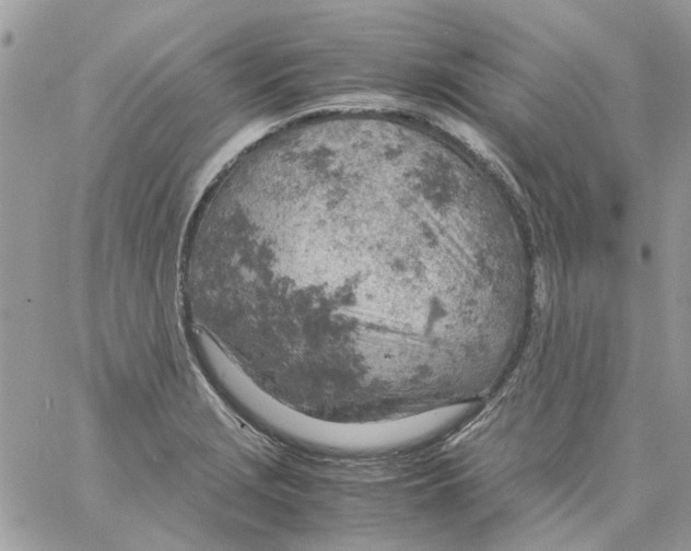 X0000061741229200512302203