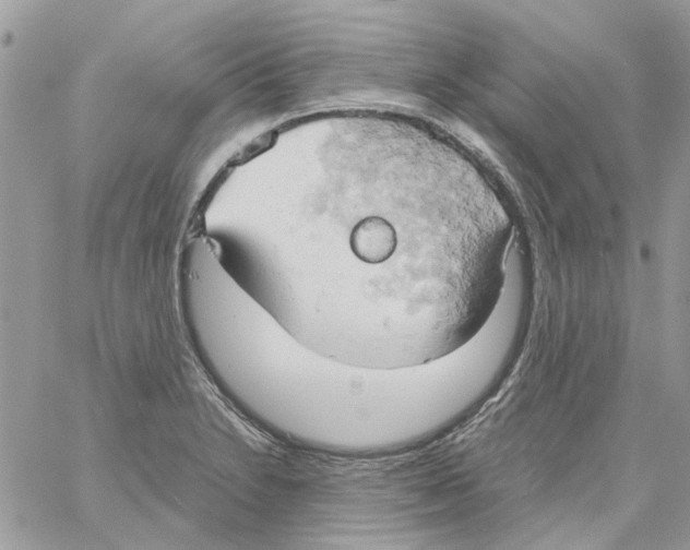 X0000061741230200512302203