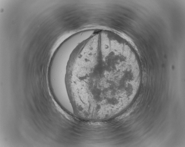 X0000061741231200512302203