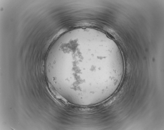 X0000061741233200512302203