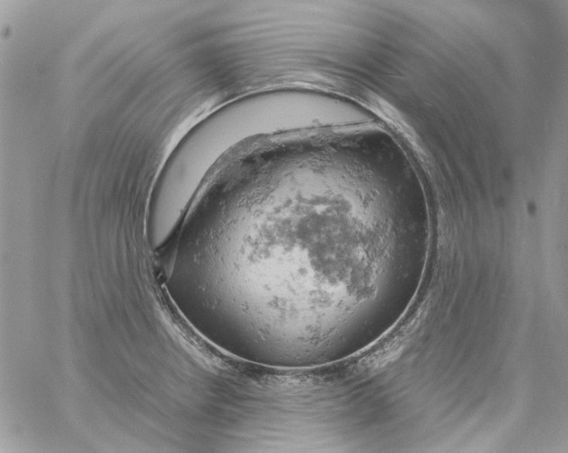 X0000061741234200512302203