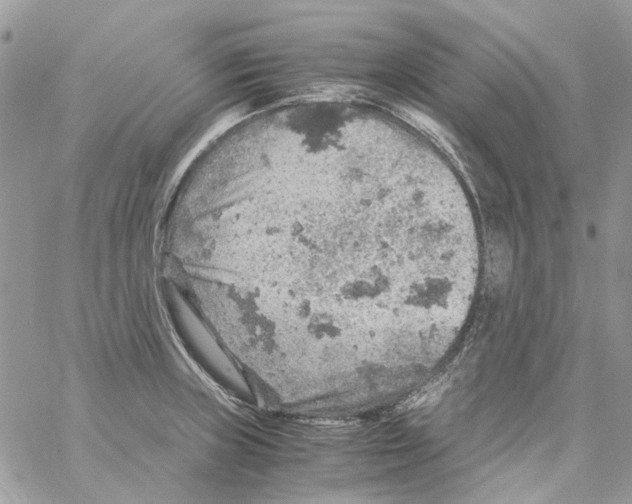 X0000061741235200512302203