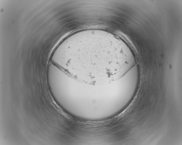 X0000061741236200512302203