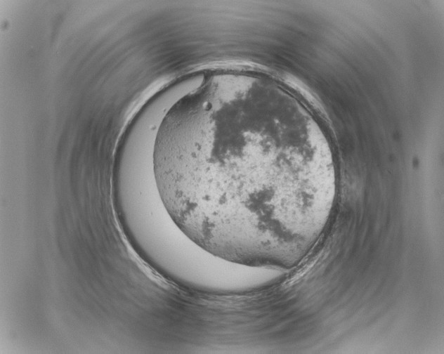 X0000061741237200512302203