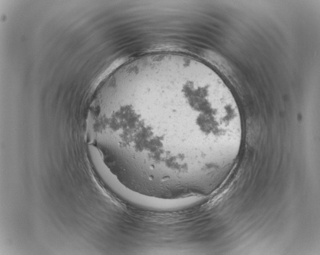 X0000061741241200512302203