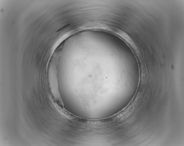 X0000061741242200512302203