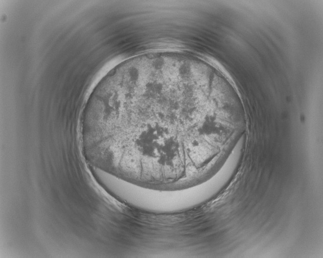 X0000061741243200512302203