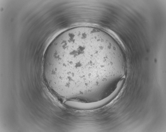 X0000061741244200512302203