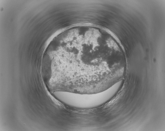 X0000061741245200512302203