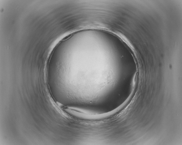 X0000061741246200512302203