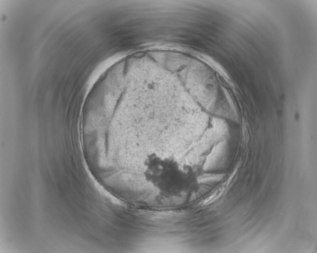 X0000061741247200512302203