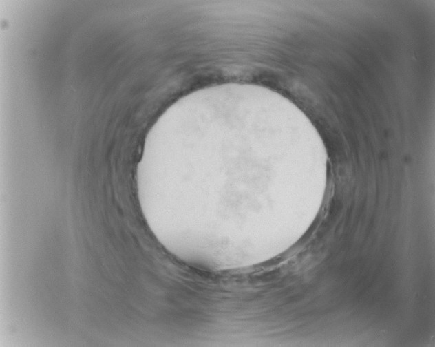 X0000061741249200512302202