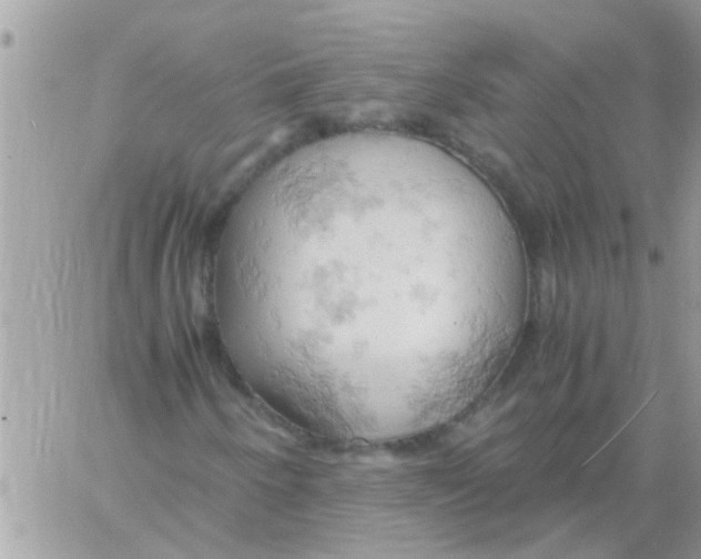 X0000061741250200512302202