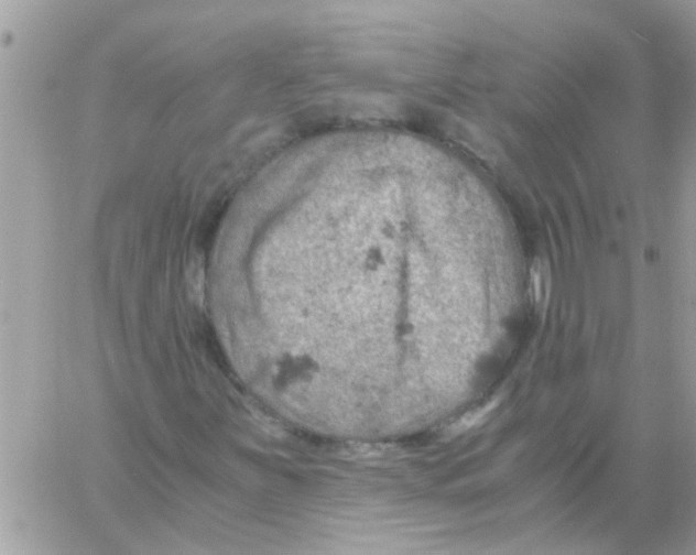 X0000061741251200512302202