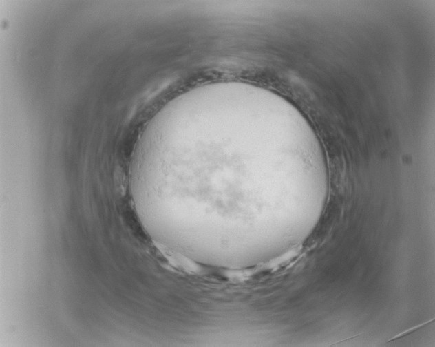 X0000061741253200512302202