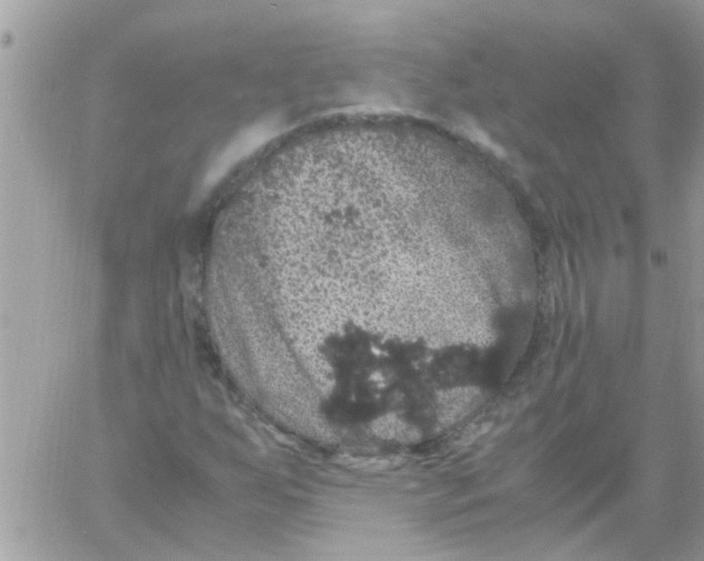 X0000061741255200512302202