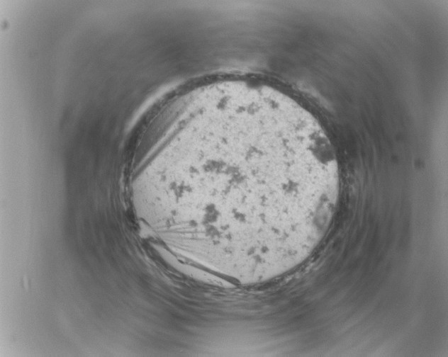 X0000061741256200512302202