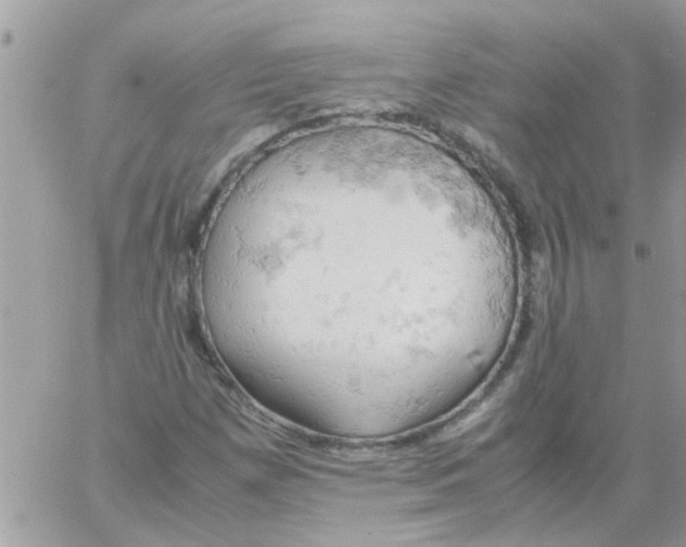 X0000061741257200512302202