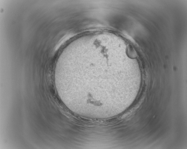 X0000061741259200512302202