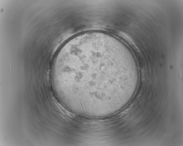 X0000061741260200512302202