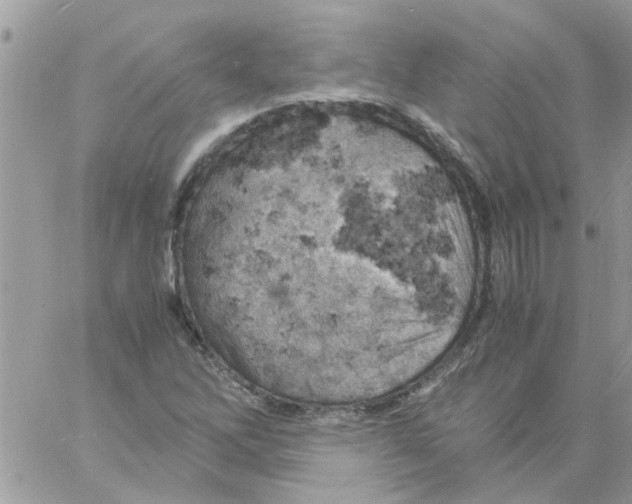 X0000061741262200512302202