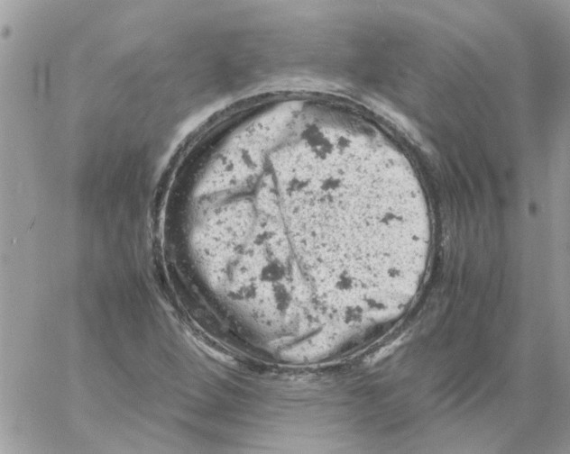 X0000061741264200512302202