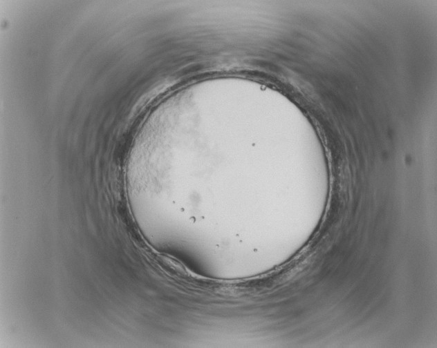 X0000061741265200512302202