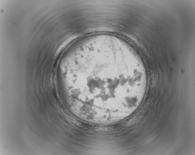 X0000061741266200512302202