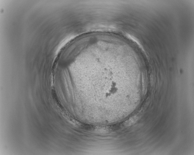 X0000061741267200512302202