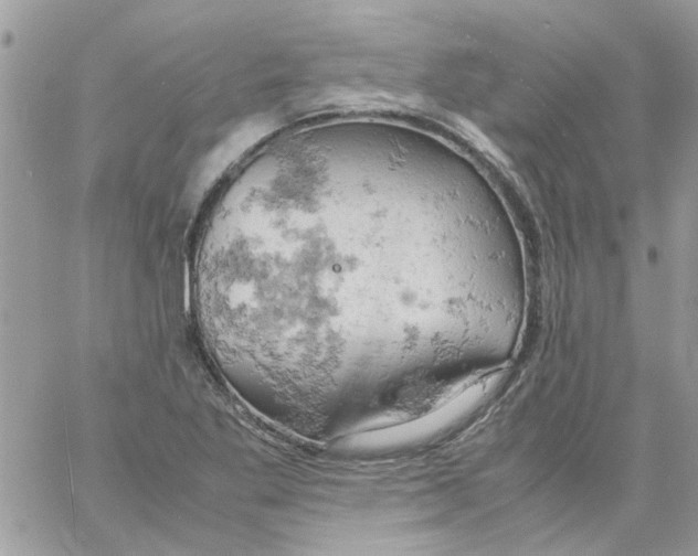 X0000061741269200512302202