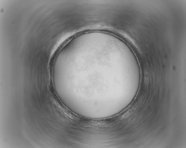 X0000061741270200512302202