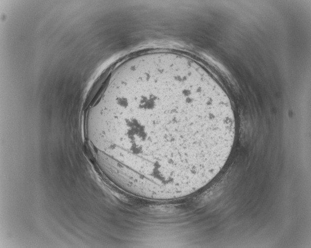 X0000061741272200512302202