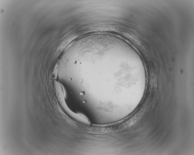 X0000061741273200512302202