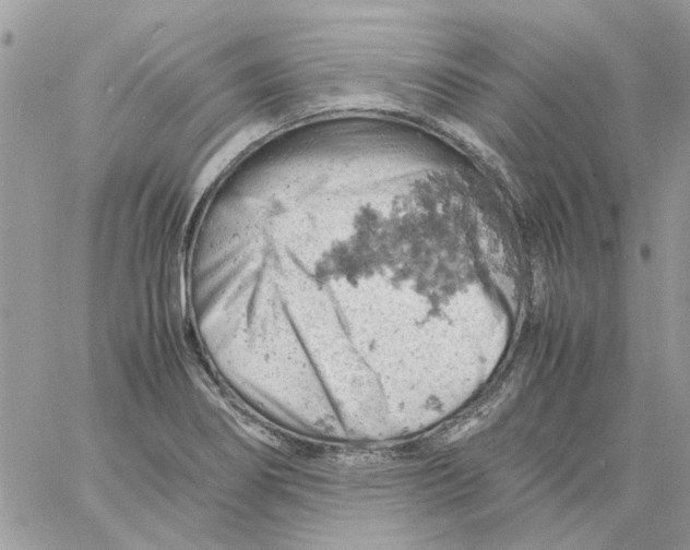 X0000061741274200512302202