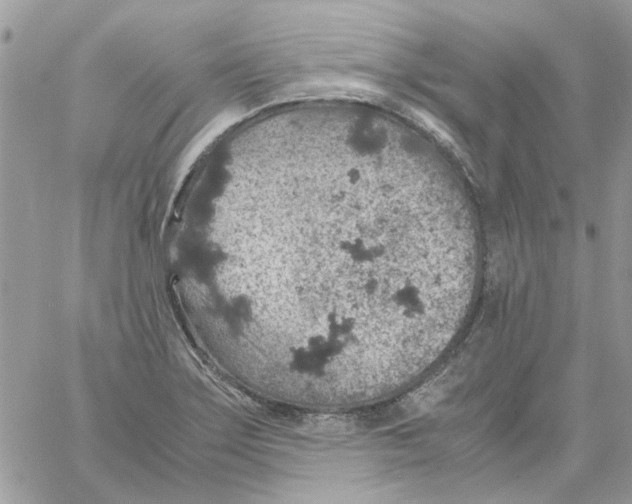 X0000061741275200512302202