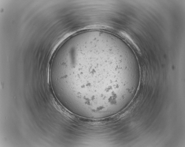 X0000061741276200512302202