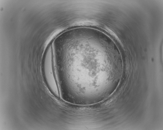 X0000061741277200512302202