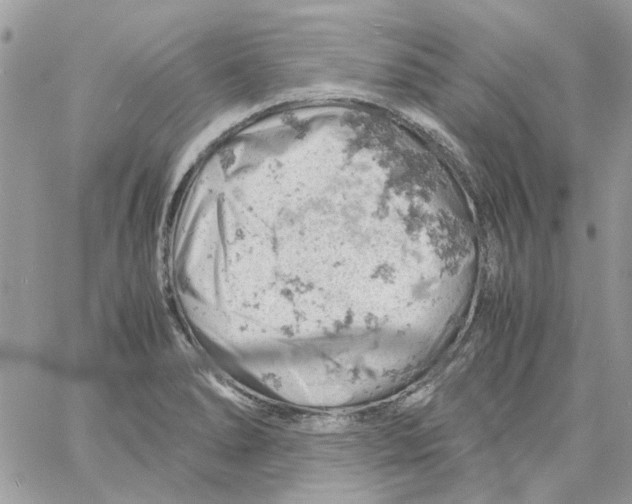 X0000061741278200512302202