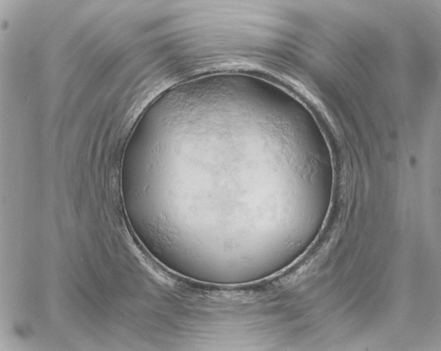 X0000061741281200512302202