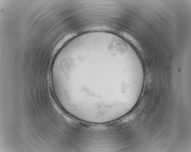 X0000061741282200512302202