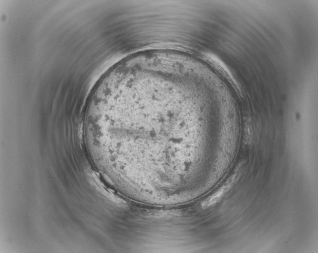 X0000061741284200512302202