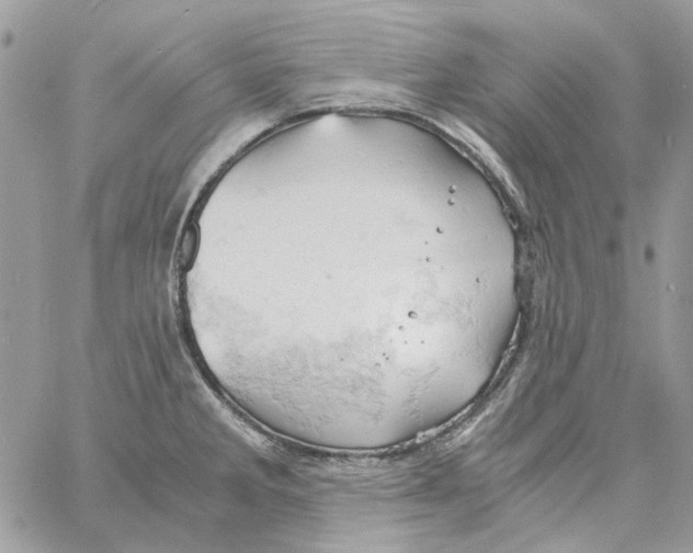 X0000061741285200512302202