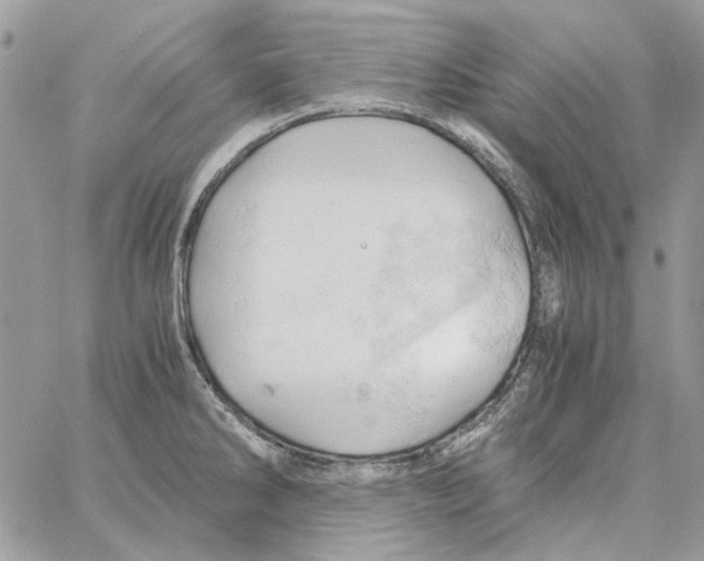 X0000061741286200512302202