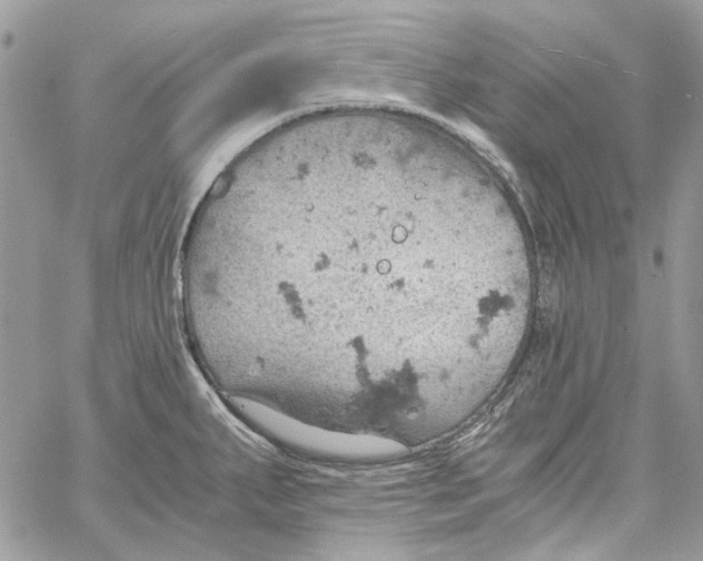 X0000061741287200512302202