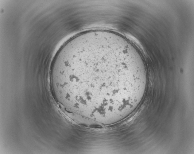 X0000061741288200512302202