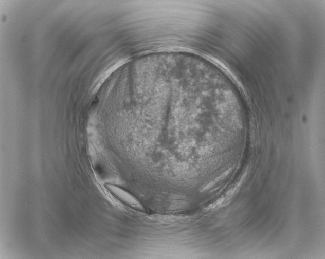 X0000061741289200512302202