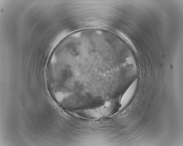 X0000061741291200512302202